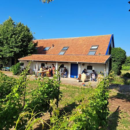 Wijnstaete Bed & Breakfast Lemelerveld Ngoại thất bức ảnh
